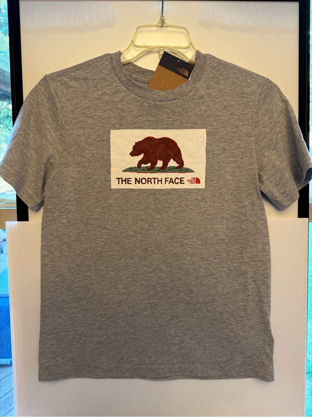 NWT- THE NORTH FACE Kids Short Sleeve Gray Bear Tee T Shirt- YL